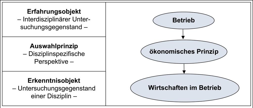 1.2 Wirtschaften im Betrieb Erkenntnisobjekt der BWL Folie 31 Abb.