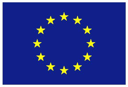 Rindfleisch, Geflügel und Eier zwischen 8 und 16 % Szenario 2: Anhebung innerhalb der ganzen EU Ø Schweinefleisch Produk8onsrückgang