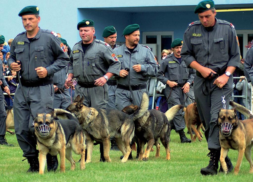 In den künftigen Diensthunde- und Polizeiinspektionen werden 401 vierbeinige Kollegen zur Verfügung stehen. FOTOS: NIKOLAUS FORMANEK, E.