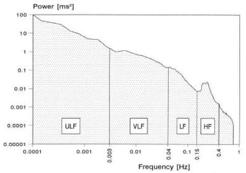 Abb. 1. Die Spektralbereiche der Herzratenvariabilität (aus Malik et al. 1996) Das HF-Band (high frequency: 0,15-0,40 Hz) zeigt die vagale Aktivität des Parasympathicus an (Malik et al.