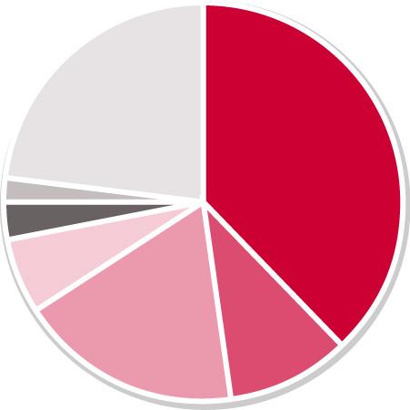 DocCheck - Berufsgruppenverteilung Ärzte (38%) Apotheker (10%)