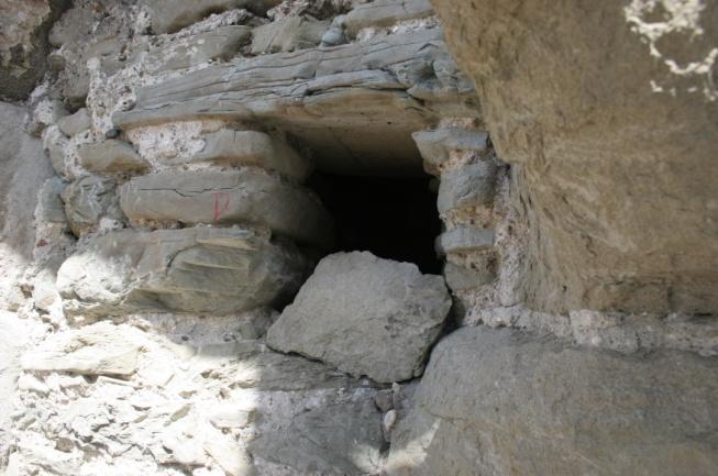 Die kartierten Gänsesäger-, Dohlen- und Mauersegler-Löcher konnten bei der Sanierung grösstenteils erhalten, teilweise sogar stabilisiert werden.