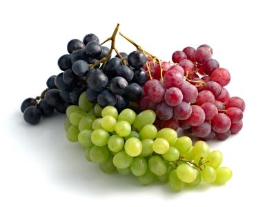 Der Sembro ist ein vorbildlich ausbalancierter und temperamentvoller Wein, der nach der Singdrossel benannt worden ist. Man findet sie auf der Etikette wieder.