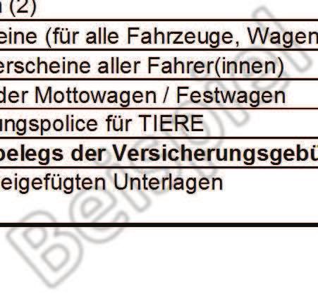 Übersicht der Anmeldeunterlagen Samstag, 06. Februar 2016 Start 13:11 Uhr wird berechnet Name der Gruppe / des Ve