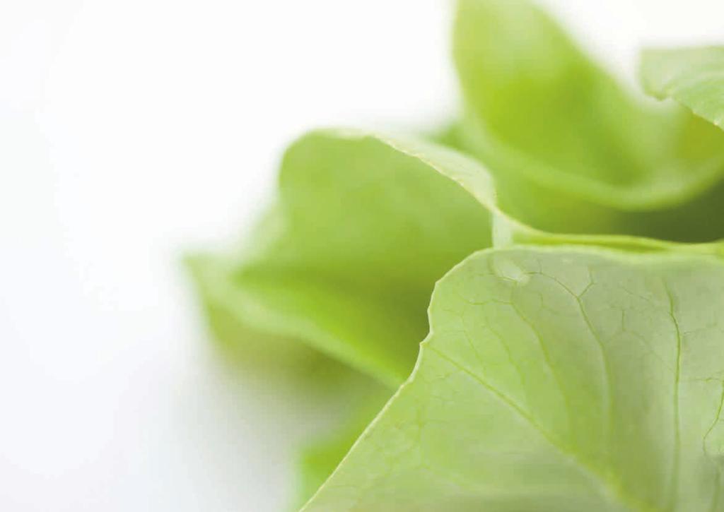 Vorher wissen was rauskommt durch optimierten Mehltauschutz Selbstverständlich bieten wir Ihnen schon jetzt ein erprobtes SalatSortiment mit Resistenz gegen
