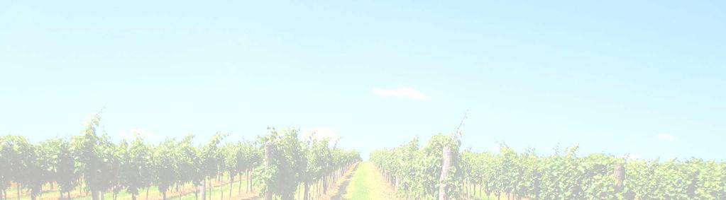 Philosophie Seit 1959 bewirtschaftet die Familie Wiesinger den Weinbaubetrieb, der heute 3,6 ha an Rebflächen in Spannberg und den umliegenden Gemeinden umfasst.