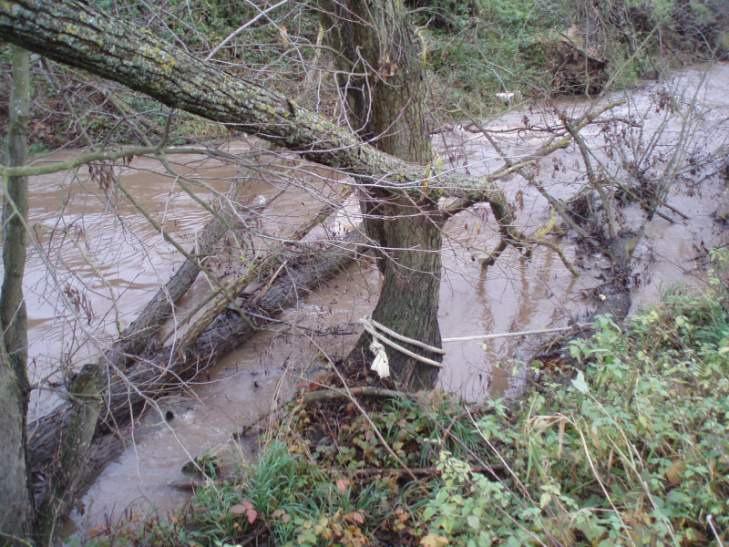 4. Festgebundener Baumstamm Hochwasser
