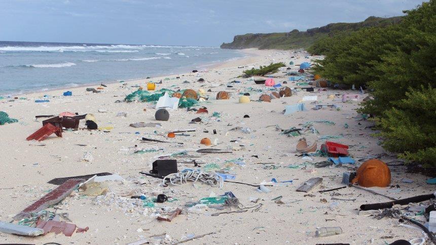 Abgelegene Südseeinsel wird zur Müllkippe Keine größeren menschlichen Siedlungen und keine Industrie im Umkreis von 5000 Kilometern - dennoch entdeckten Forscher auf einer abgelegenen Südseeinsel