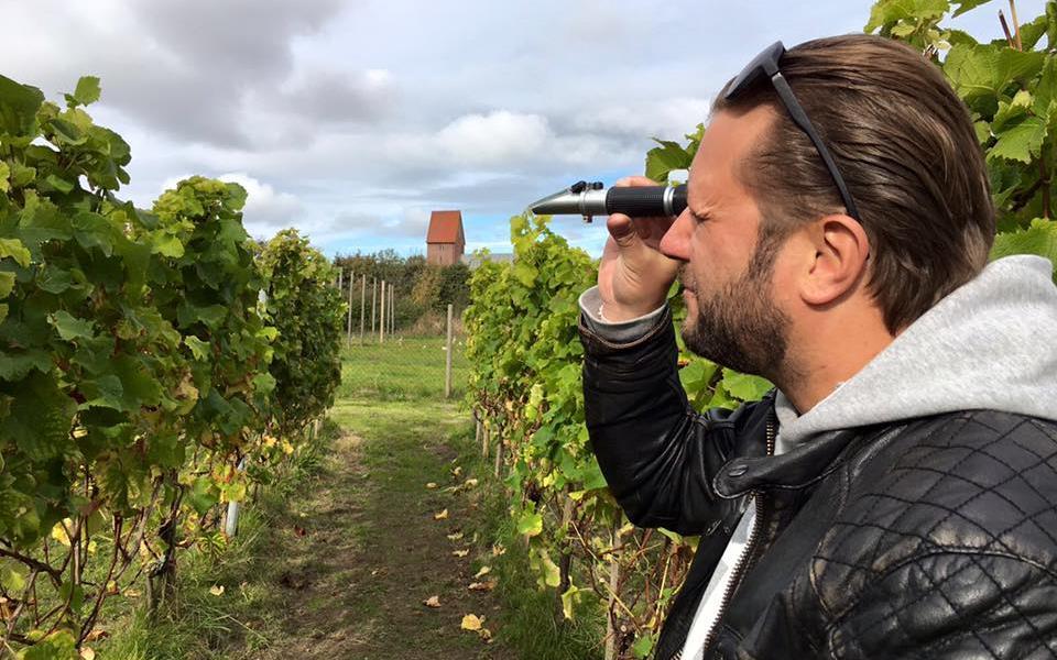 WEINERLEBNISTOUR Die Insel Sylt ist das nördlichste Weinanbaugebiet Deutschlands. Marketing-Gag oder neue Stilistik in der Weinwelt? Finden Sie es heraus!