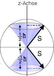 2.2 Verhalten des Kernspins im B-Feld Für uns ist das Verhalten des Kernspin in äuÿeren Feldern, vor allem in einem äuÿeren Magnetfeld von Interesse.