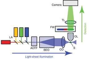 Modernes Light Sheet Mikroskop Widefield Mikroskop La, Laser Array Emission, Kopplung in einzelnen Strahl AOTF, acousto-optic tunable filter (AOTF) Auswahl von und Intensität BEO/CO,