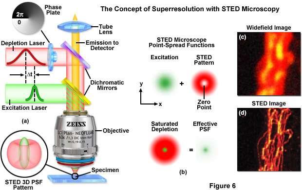 STED (+) bis 20 nm laterale Auflösung; verbesserte Version: iso-sted, 2 STED Depletionslaser mit gegenüberliegenden