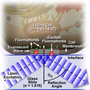 TIRF (Total Internal Reflection Fluorescence Microscopy) ideale Methode für gute z-auflösung für Objekte an der Oberfläche Prinzip: evaneszente Welle wir