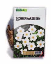 de und klicke auf das Online-Gewinnspiel, um Grünschnabel zu helfen und zu gewinnen. SCHNEEGLöCKCHEN GALANTHUS NIVALIS 'FLORE PLENO' Blüte: weiß, gefüllt Blütezeit: Februar März Höhe: ca.