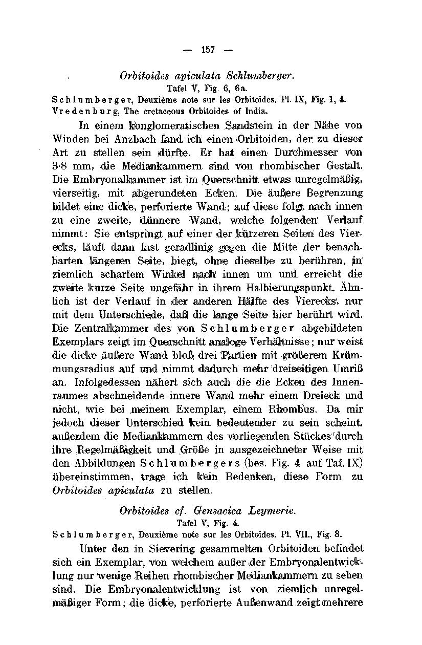 157 Orbitoides apiculata Schlumberger. Tafel V, Fig. 6, 6a. Schlumberger, Deuxieme note sur les Orbitoides. PI. IX, Fig. 1, 4. Vredenburg, The cretaceous Orbitoides of India.