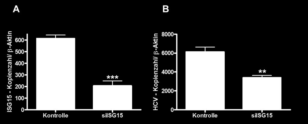 3 ERGEBNISSE Mittels qrt-pcr konnte die signifikante Reduktion folgender Gene auch auf Transkriptionsebene in Isg15 supprimierten Zellen, MH1 (A-C) sowie PMH (D-F), nachgewiesen werden: Txndc5,