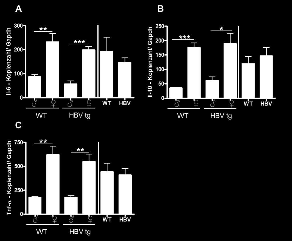3 ERGEBNISSE Abb.3.4.2 Männliche und weibliche HBVtg Mäuse weisen unterschiedliche, hepatische Zytokin Expressionsprofile auf.