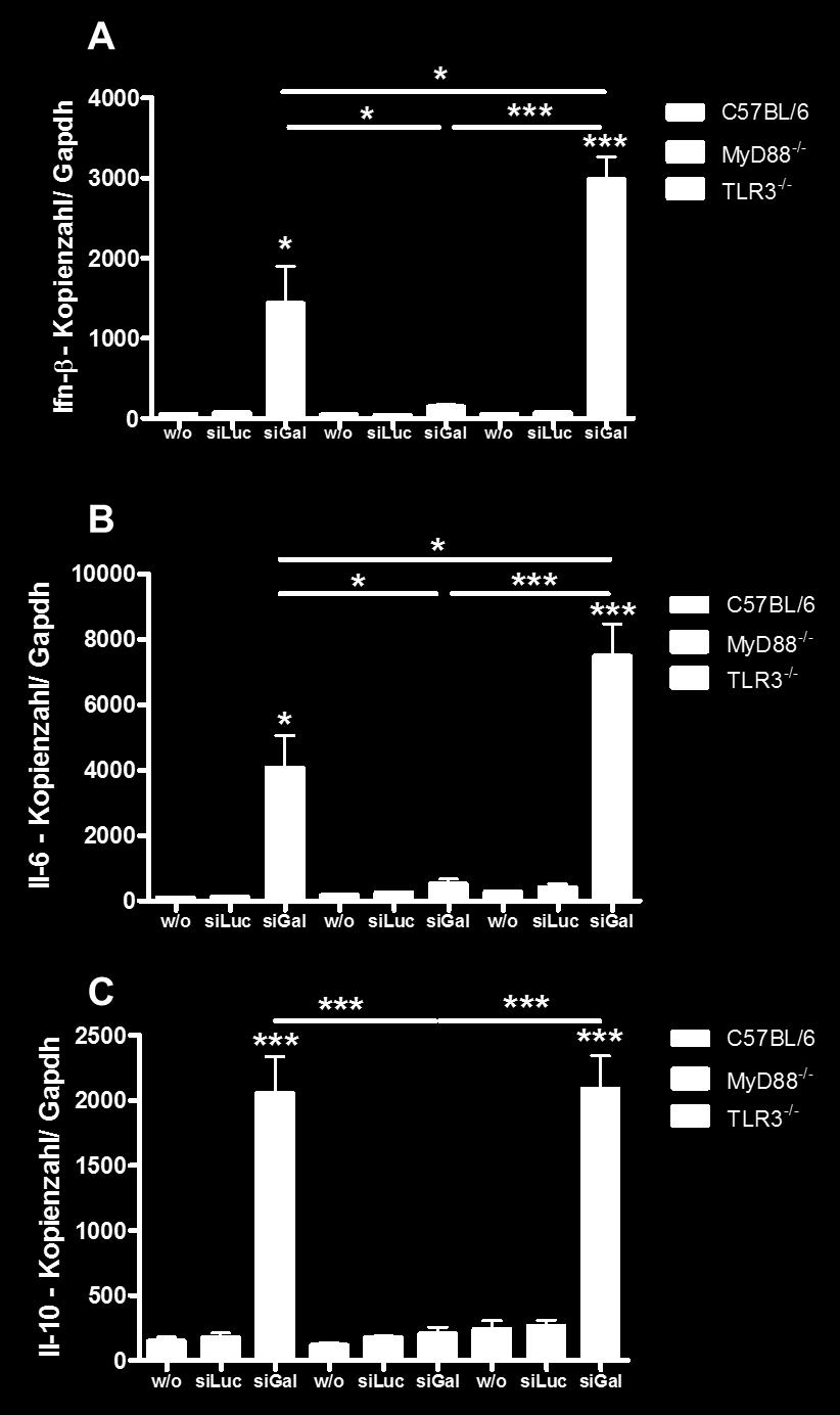7 Wochen alte, männliche C57BL/6, Myd88 -/- und TLR3 -/- Mäuse erhielten 200µl der LNP01-formulierten sirna (4µg/g)