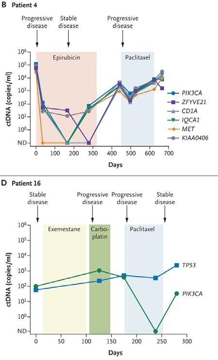 Monitoring der Mammakarzinomerkrankung Results Circulating tumor DNA was successfully detected in