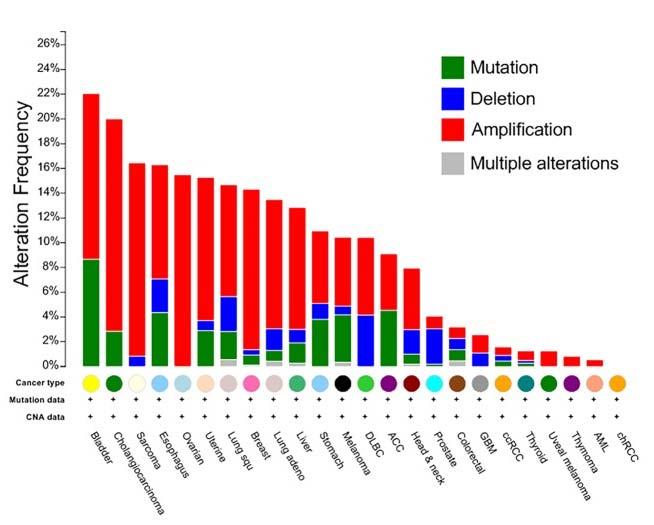Mutationsmuster in verschiedenen