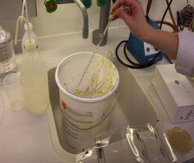 Grundlagen des sterilen Arbeitens sterile Verschlüsse (Deckel von Petrischalen, Kappen von Eprouvetten oder Flaschen, etc.
