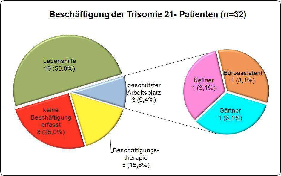 Abbildung 12: Beschäftigung der Trisomie 21- Patienten (n=32) 5.5.6 Schwangerschaften Es wurden insgesamt 5 Schwangerschaften bei 3 Patientinnen dokumentiert.