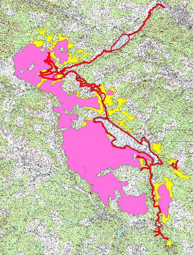 Fauna Juli 2016 Abbildung 6.7: Auerhuhnrelevante Flächen. rot = Untersuchungsgebiet, Magenta = Priorität 1 oder 2, Gelb = Priorität 3.
