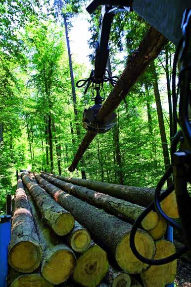 Forstketten, Seile und Zubehör In der Forstwirtschaft wird einiges bewegt und Ketten sind hier besonderen Belastungen ausgesetzt.