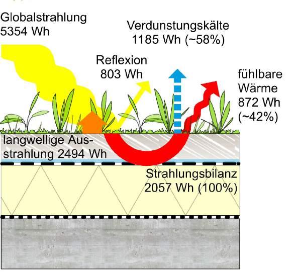 Gebäudeoptimierung Kühlung / Natürliche Lüftung 33 C Kühlung durch Verdunstung von Pflanzen und Oberflächenwasser, verminderte Sonneneinstrahlung und Reflexion.