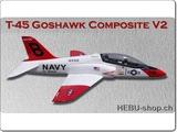 00 Sapac Impeller Jet Hawk V2 mit Impeller und Motor 1KW 4159039 Spannweite: 1000mm, Länge: