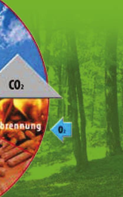Das bedeutet: Wenn man Holz verbrennt, gibt es dabei nur so viel CO2 in die Atmosphäre ab, wie es während seines Wachstums aufgenommen hat.