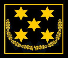 Rechtecks, ein Stern mittig und Litze goldfarben Fünf Sterne, davon vier in Form eines Rechtecks, ein Stern mittig in Eichenlaub und Litze goldfarben Abzeichen der Amtsbezeichnung