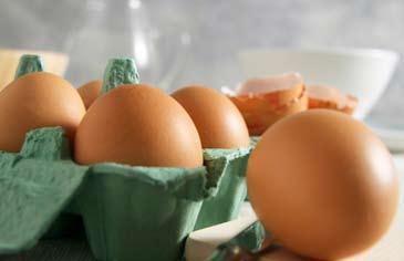 Umgang mit rohen Eiern Rohe Eier am besten im Kühlschrank, getrennt von anderen Lebensmitteln, lagern.