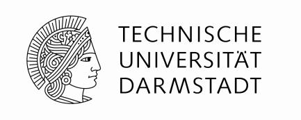Leitlinien für die Förderung des wissenschaftlichen Nachwuchses durch Ingenium - Young Researchers at TU Darmstadt I.