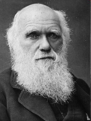 Das Zeitalter der Depression Charles Darwin: "Ich sollte mich wahrscheinlich damit zufriedengeben, die Fortschritte zu bewundern, die andere in der Wissenschaft machen.