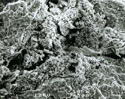 Aber auch die mineralische Struktur unterscheidet sich sehr stark. Bild 9: REM Aufnahme Suevit Bild 10: REM Aufnahme Rhein. Trass 7.