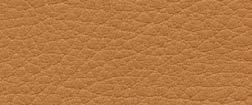 this high-quality semi-aniline leather.