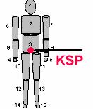 1.Körperschwerpunkt Wichtige Begriffe und Zusammenhänge Der Körperschwerpunkt (KSP) ist ein fiktiver Punkt, In dem die Masse des gesamten Körpers