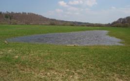 Prioritäten im Amphibienschutz, Laichgewässer für gefährdete Amphibienarten 5.