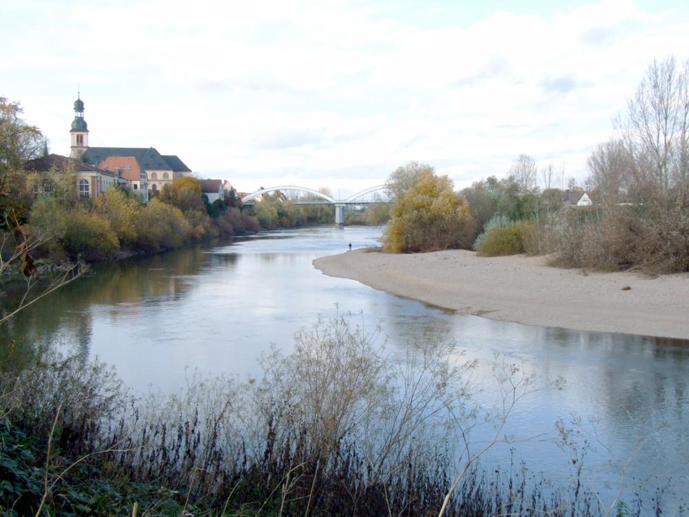 Wasserwirtschaftliche Problemstellungen an den Bundeswasserstraßen Rhein und Neckar