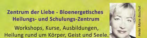 3. Check von Mineralien- Vitaminmangel etc.