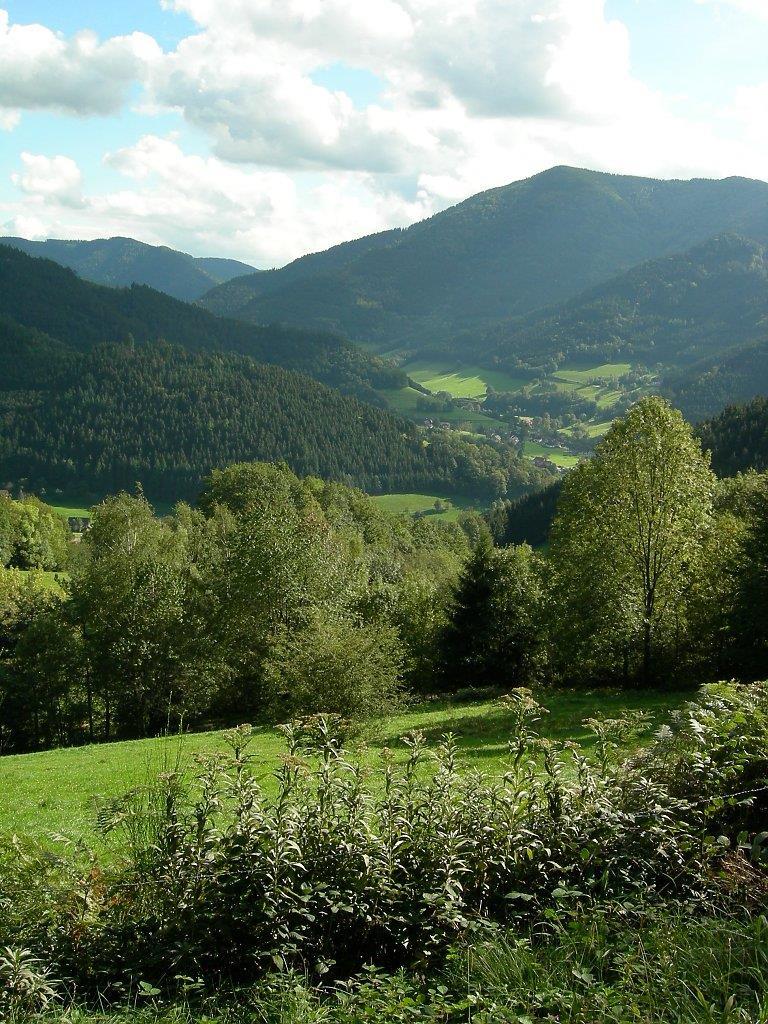 PRAKTISCHE HINWEISE ZEITVERSCHIEBUNG UND KLIMA Im Schwarzwald sind die verschiedenen Jahreszeiten sehr deutlich ausgeprägt.