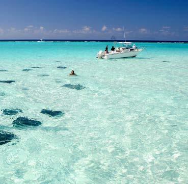 Grand Cayman Vor allem die Hauptinsel Grand Cayman ist für ihre Riffe bekannt.