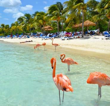 Oranjestad Aruba Bonbini!!! Dies bedeutet Herzlich Willkommen. Willkommen zu träumen: Von endloser Sonne und Landschaft.