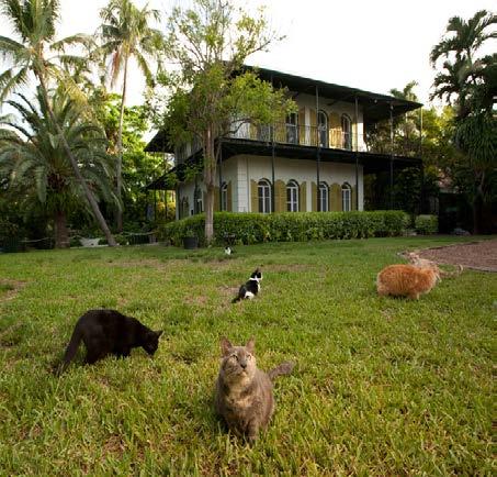 Die Villa entstand 1851 und wurde 1831 zum neuen Wohnsitz der Hemingways. Dort lebte der Schriftsteller mehr als 10 Jahre mit seiner 2. Frau Pauline.