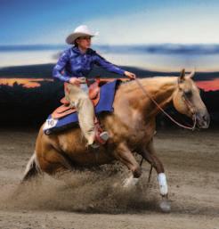 Jetzt mit Online-Shop! Foto: Ralf Nick Einen guten Boden, ein gutes Pferd, Spaß haben, großartiges Equipment, Meins ist von Cowboy Headquarters.