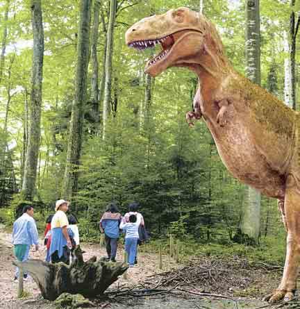 Oviraptor: 80 73 Mio. Jahre Lambeosaurus: 80 73 Mio. Jahre Struthiomimus: 76 70 Mio. Jahre SAURIERPARK IM JURA Der Préhisto-Parc in Réclère (JU) begeistert mit tollen Nachbildungen von Sauriern.