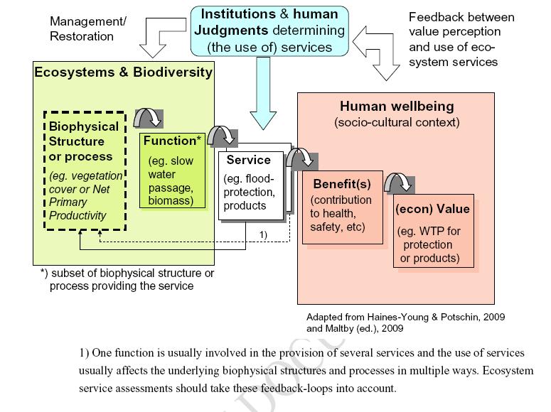 Bewertung von Naturflächen und Ökosystemen - Bisherige wirtschaftswissenschaftliche Arbeiten und Ergebnisse Diese logische Kette von Funktionen eines Ökosystems bis zu dessen Wert wird in TEEB D0 wie