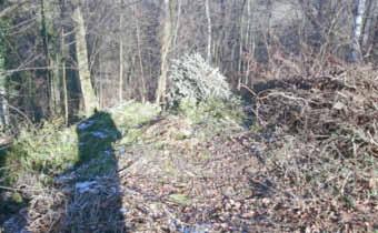 Wallerfangen - 11 - Ausgabe 11/2017 Sicherheit und Ordnung Illegale Grünschnittentsorgung im Waldgebiet Dauster Greth Bei der Dauster Greth handelt es sich um einen Privatwald ausgangs Wallerfangen,