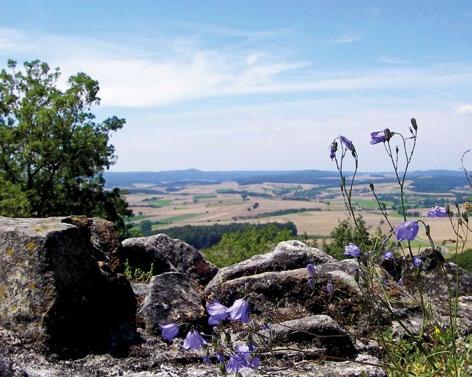 VGN-Freizeit-Tipps 157 158 Riesiges Freizeit-Angebot Touren ganz individuell: Ob Wandervergnügen, Radelspaß,